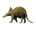 Animals - KID PIX 5: The STEAM Edition