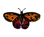 Bugs - KID PIX 5: The STEAM Edition