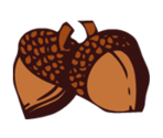 Nature - KID PIX 5: The STEAM Edition