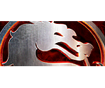 Save Banner & Icon - Mortal Kombat: Armageddon