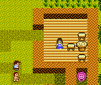 C-Island Tiles - StarTropics