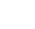 Controller - New Play Control! Pikmin