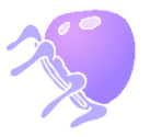 Jellyfish - SpongeBob SquarePants Screensaver