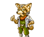 Fox McCloud - Star Fox / Starwing