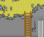 Level 12 - Shining Force: Resurrection of the Dark Dragon