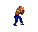 Wolf - Virtua Fighter Animation