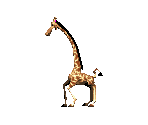 Melman - Madagascar: Operation Penguin