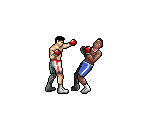Boxers - Rocky Boxing