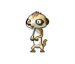 Meerkat - MapleStory