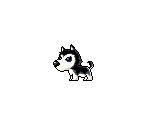 Husky - MapleStory