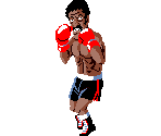 Piston Hurricane - Punch-Out!!