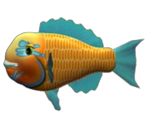 Parrotfish - Feeding Frenzy