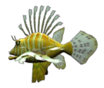 Lionfish - Feeding Frenzy