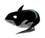 Orca (Feeding Frenzy) - Feeding Frenzy