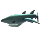 Shark - Feeding Frenzy