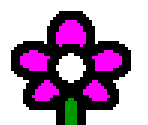Flowers - Sunky's Schoolhouse