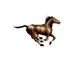 Horse - Shinobi 3 / The Super Shinobi 2