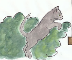 Liliy The Wild Cat - Abcya.com Games