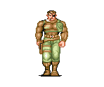 Nick Fury - The Punisher