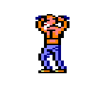 Ninja Master - Skull & Crossbones