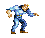 Bushwacker - The Punisher