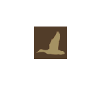 HOME Menu Icons - Duck Dynasty
