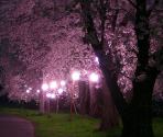 Backgrounds - Moonshine