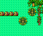Round 1 - Aztec Adventure / Nazca '88