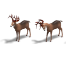 Deer - 12 Labours of Hercules