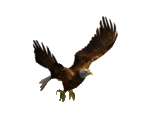 Eagle - 12 Labours of Hercules