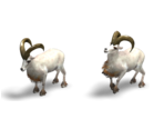 Goat - 12 Labours of Hercules