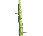 Tall Grass - Nanatsu Kaze no Shima Monogatari (JPN)