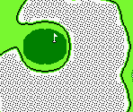 Japan Course #05 - Golf