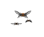 Stingers - Might and Magic: World of Xeen