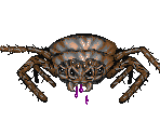 Arachnoid - Might and Magic: World of Xeen