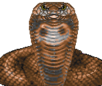 Killer Cobra - Might and Magic: World of Xeen