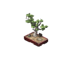 Bonsai Tree - The Sims