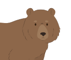 Bear - Scratch