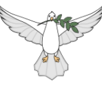 Dove - Scratch