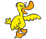 Duck - Scratch