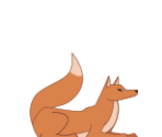 Fox - Scratch