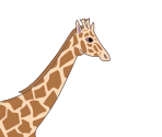 Giraffe - Scratch