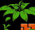 Forest Man - Rokko Chan