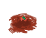 Tomato - Pocket Mirror
