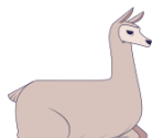 Llama - Scratch