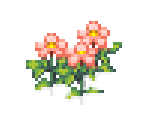 Flowers - Pocket Mirror