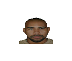 Wrestler Icons - ECW Hardcore Revolution
