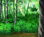 Forest - Detective Conan: Phantom Rhapsody