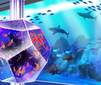 Aquarium - Detective Conan: Phantom Rhapsody