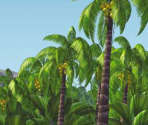 Background - Madagascar Screensaver
